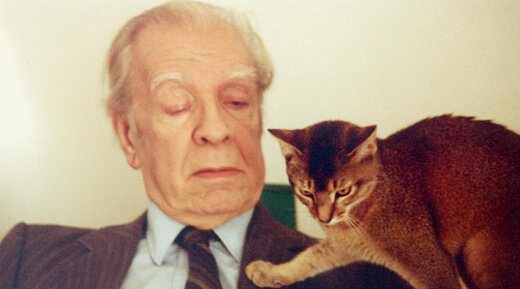 Borges ve kedi