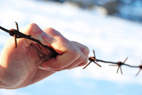 dikenli çiti tutan el