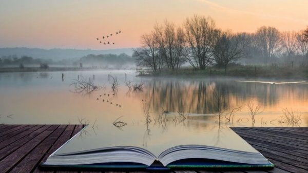 kitap ve göl