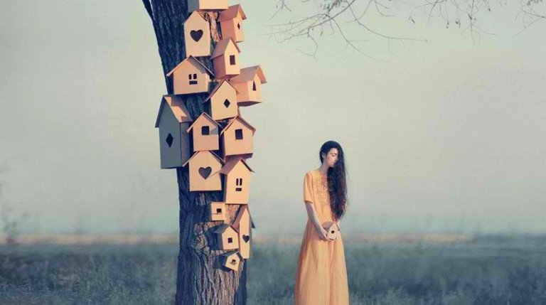 ağaçtaki kuş evlerini yapan kadın
