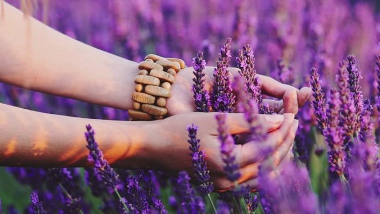 bir avuç lavanta tarlası