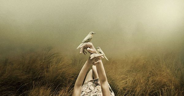 parmaklarında kuşlarla yatan kadın