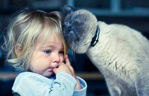 Kedi Terapisi: Kedilerle Yaşamanın 5 Faydası