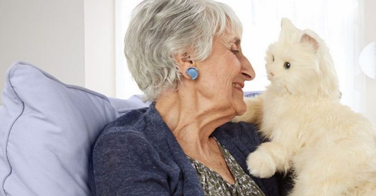 yaşlı kadın ve kedi