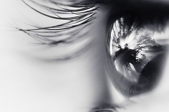 gözler ve kirpikler