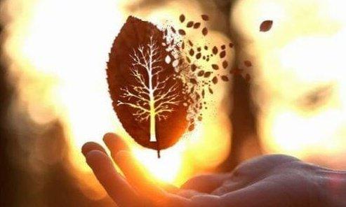 üstünde ağaç şekli olan yaprak el