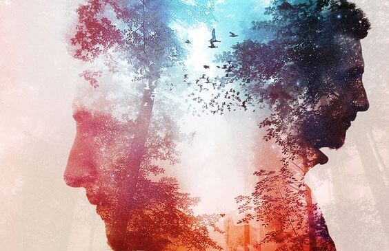 adam yüzü silueti ve orman