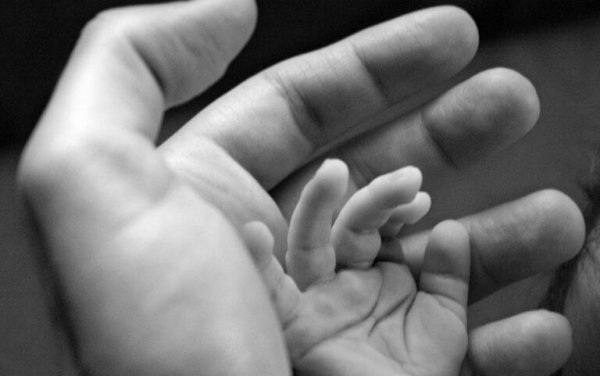 ebeveyn ve bebeğin elleri