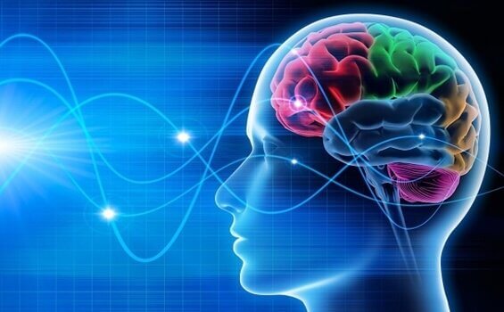 Beyin Dalgaları: Delta, Teta, Alfa, Beta ve Gama