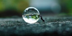 Kararlılık, Hayallerin Gıdasıdır