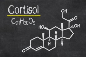 Kortizol: Stres Hormonu