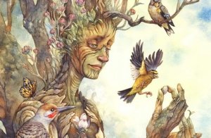 Ağaçların Mutluluğu Bulmak İle İlgili Bize Öğretebileceği Şeyler