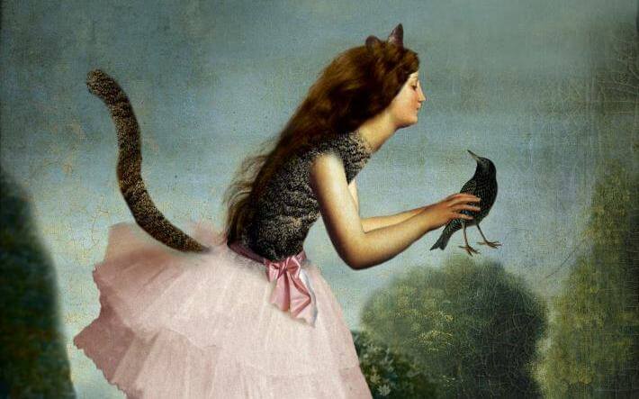 kedi kadın karga tutuyor