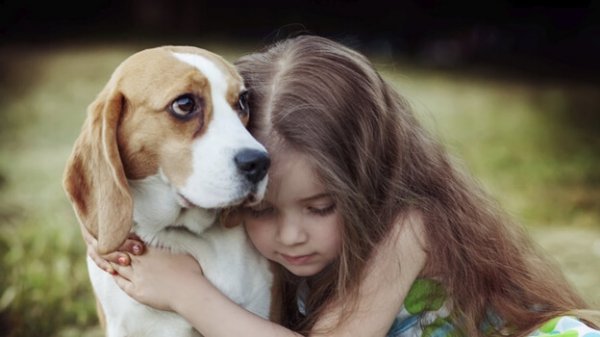 Köpeklerin Empati Kurabilmesinin İyileştirici Bir Gücü Vardır
