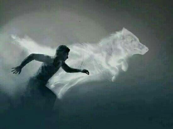 kurt silüeti ve adam