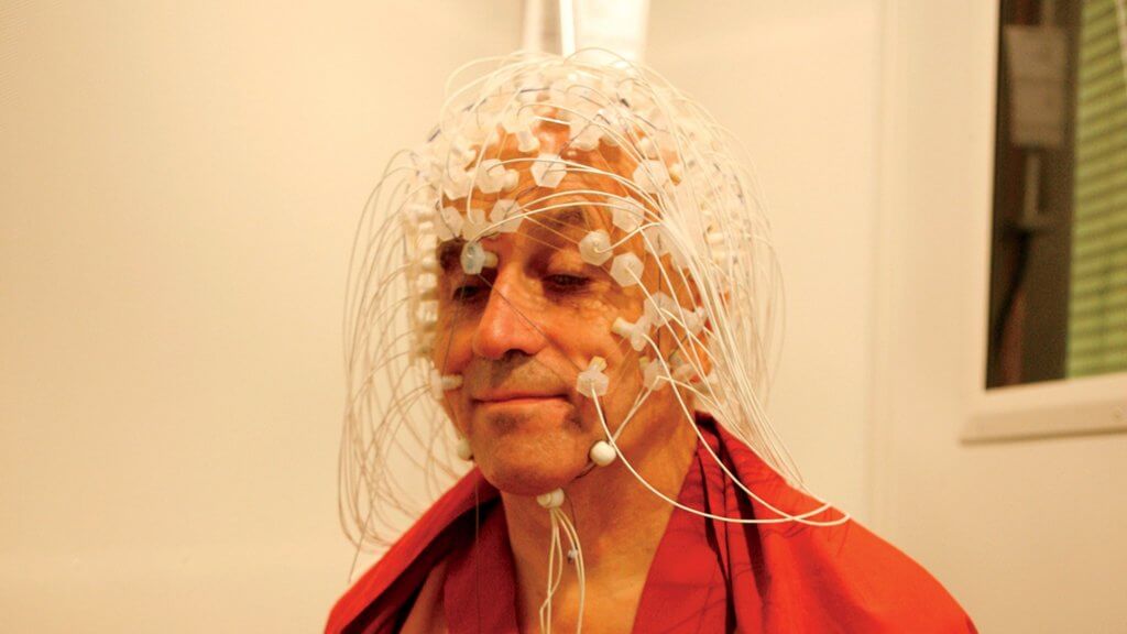 matthieu ricard, elektrotlar takılı bay beyin