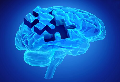 beynin mavi yapboz yapısı