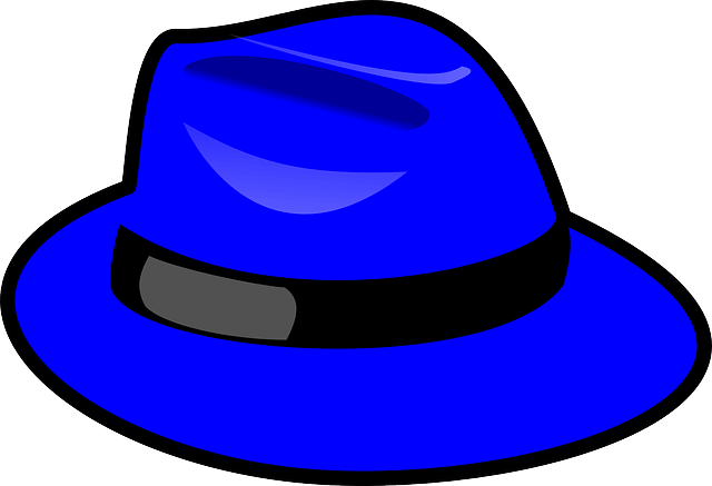 mavi şapka