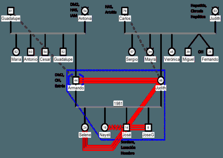 dijital çizilmiş genogram