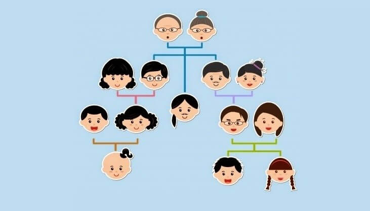 genogram kafalarından aile