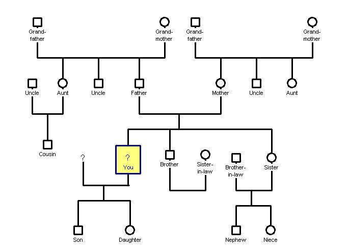 bir genogram tablosu