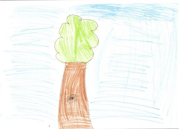 çocuk çizimi ağaç