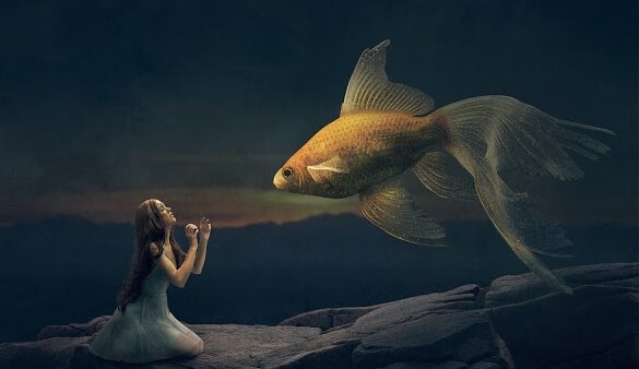 altın balık ve kız