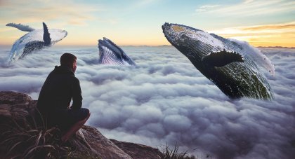 balinaları izleyen adam