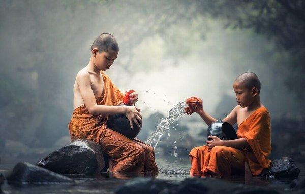 çocuk Budist keşişler