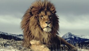 Sık Öfke Krizlerinin Ardında Kibir Var