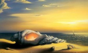 İnsula, Duygularımızın ve Empatinin Kaynağı