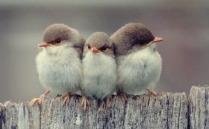 Aristoteles'e Göre Arkadaşlığın 3 Farklı Çeşidi