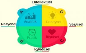 Herrmann Kadranlarına Göre Hangi Baskın Beyin Türüne Uygunsunuz?
