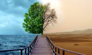 Depresyon Tedavisinde 4 Gestalt Terapisi Yöntemi