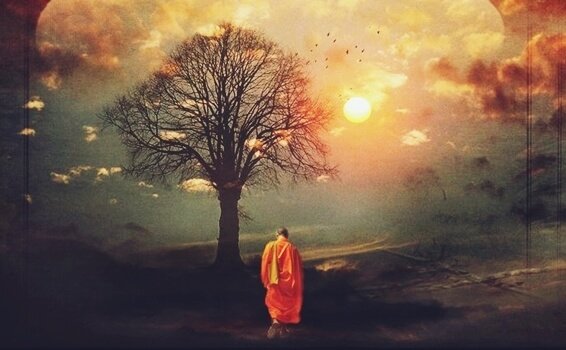 ağaca doğru yürüyen budist keşiş