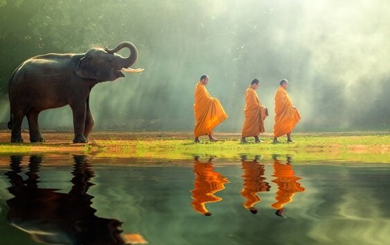 budistler ve fil