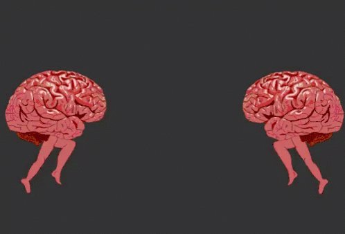 iki beyin