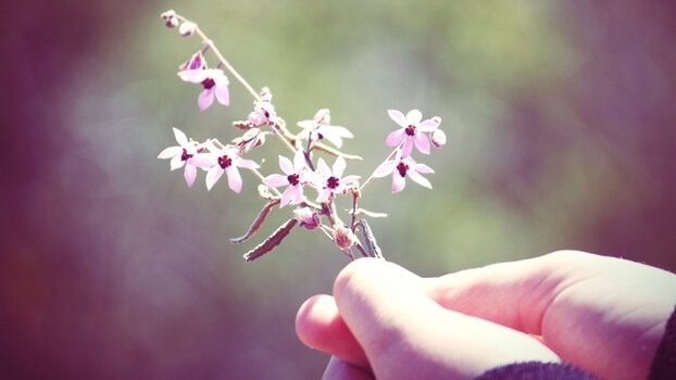 çiçek tutan el