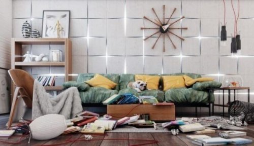 dağınık ev ve köpek