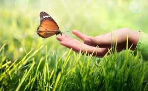 Kinestetik İletişim ve Dokunma: Neden Bu Kadar Önemlidir?