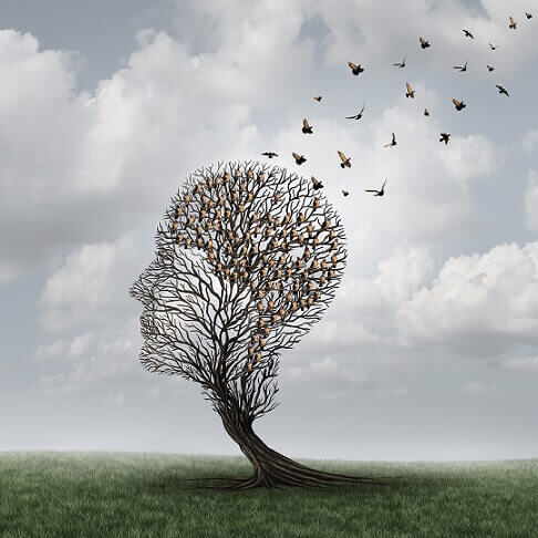 ağaçtan uçan kuşlar