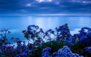 Stresi Azaltan Renk: Mavi