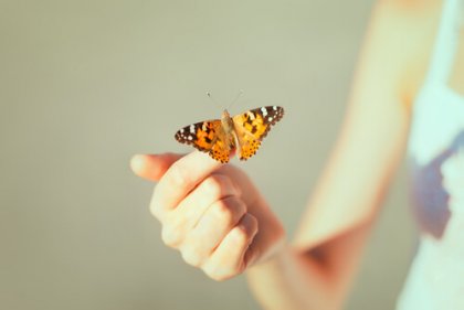 kadının parmağına konmuş bir kelebek