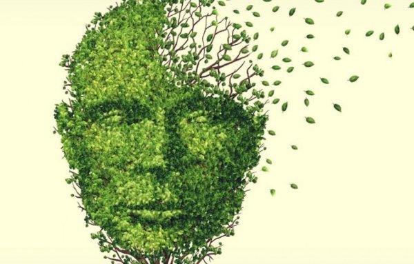 yapraklardan oluşan insan yüzü