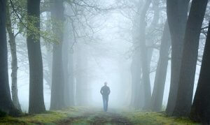 Orman Testi ve Psikanalizdeki Yeri