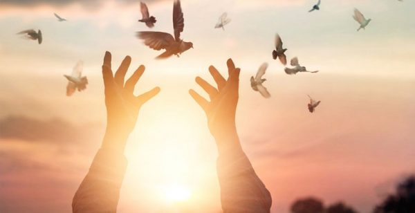 açık eller güneş