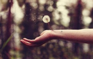 İhanet Yarasını İyileştirmek