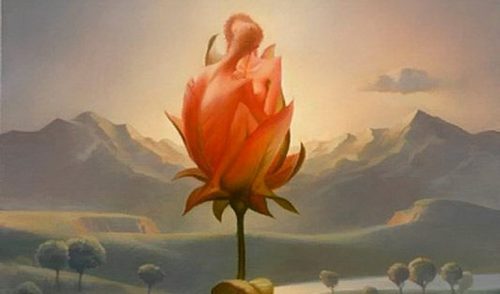 çift şeklinde gül