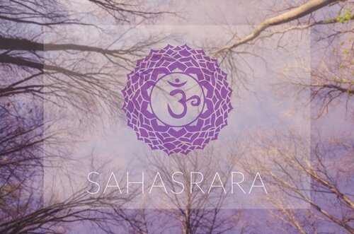 sahasrara çakra sembolü