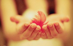 Nazik Olmak: Her Duvarı Yıkacak Güçte Bir Özellik